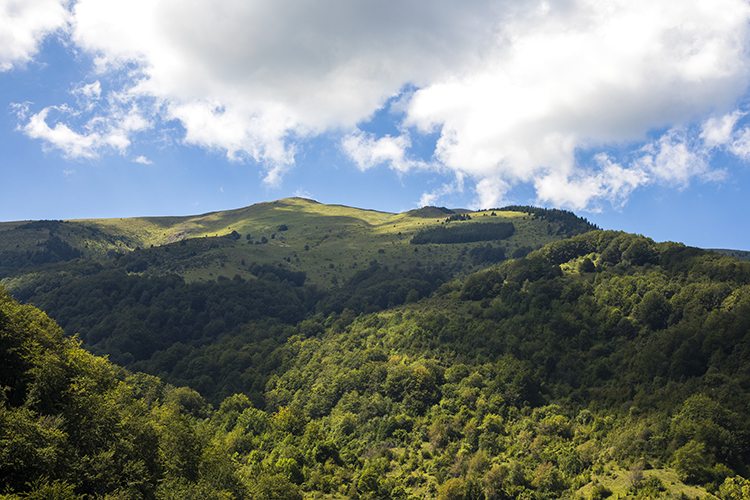 The Role of Nature in The Process of Creation: Daylight and Photography